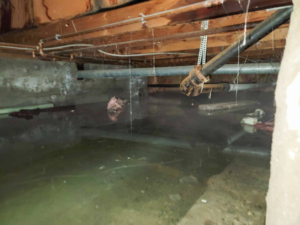 Water damage restoration mold remediation in TX