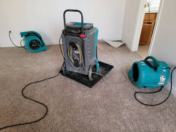 Best 24-hour water damage restoration  in Lorena, TX