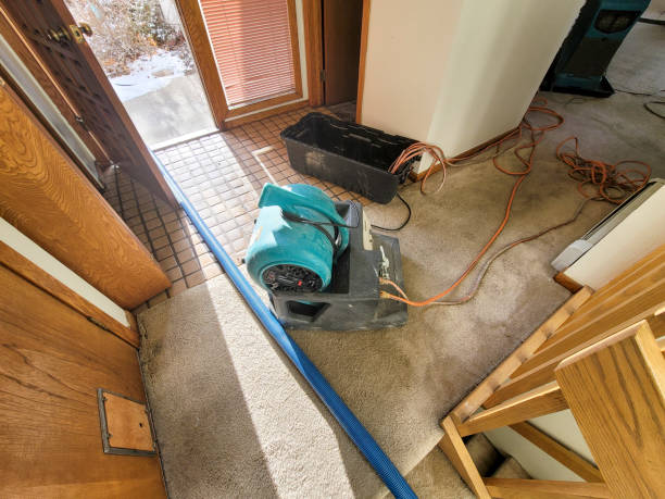 Best Flood damage cleanup  in Lorena, TX